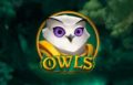 Owls Slot by NoLimit City Logo