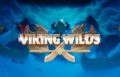 Viking Wilds Slot Logo