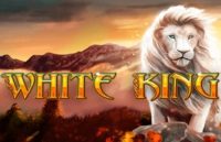 Tragaperras White King En Español