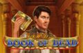 Rich Wild and the Book of Dead Slot by Play N Go Logo