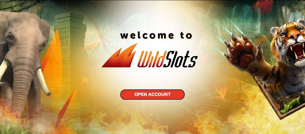 Revisión de WildSlots Casino