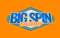 BigSpin Casino Logo