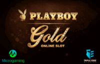 Tragamonedas Playboy Gold Logo